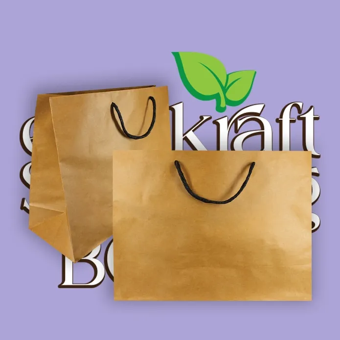 Eco Kraft Shopping Bags