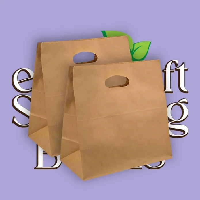 Eco Kraft Shopping Bags