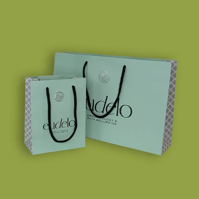 Paper Bags with Handle